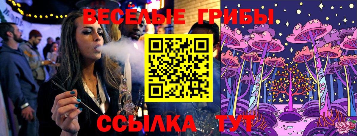 Псилоцибиновые грибы мухоморы  Вход с VPN  что такое наркотик  Сальск 