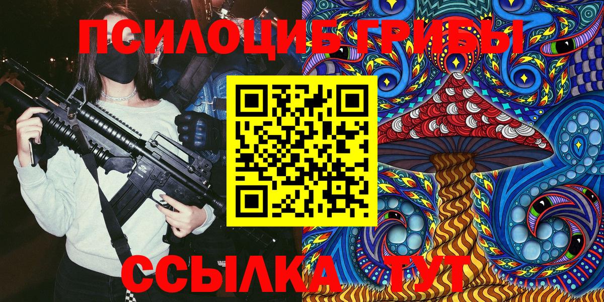 Галлюциногенные грибы Cubensis Сальск