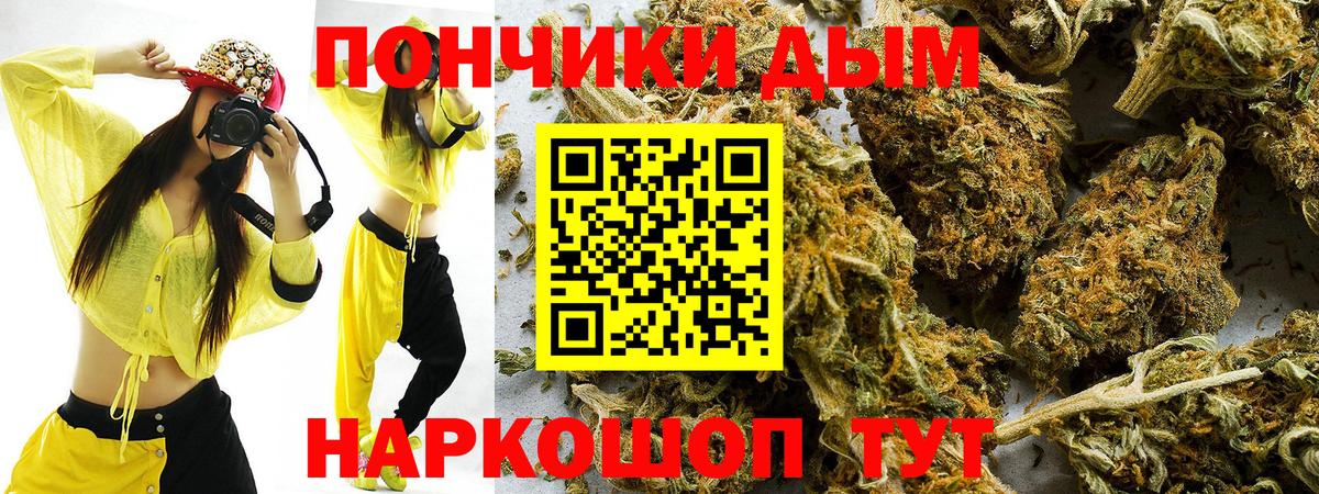 Конопля Сальск